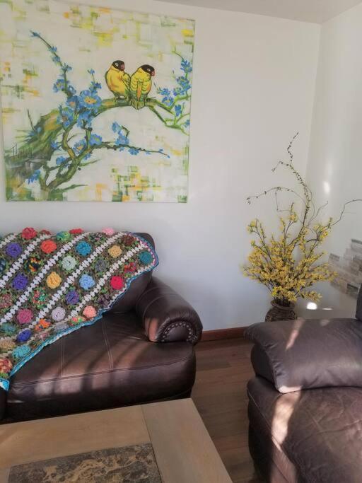 Your Home In كولورادو سبرينغس المظهر الخارجي الصورة